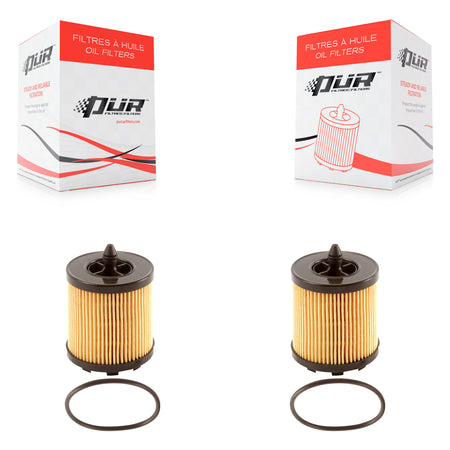 Engine Cartridge Oil Filter (2 Pack) For Chevrolet Equinox Pontiac GMC Terrain Malibu G5 K56-100018